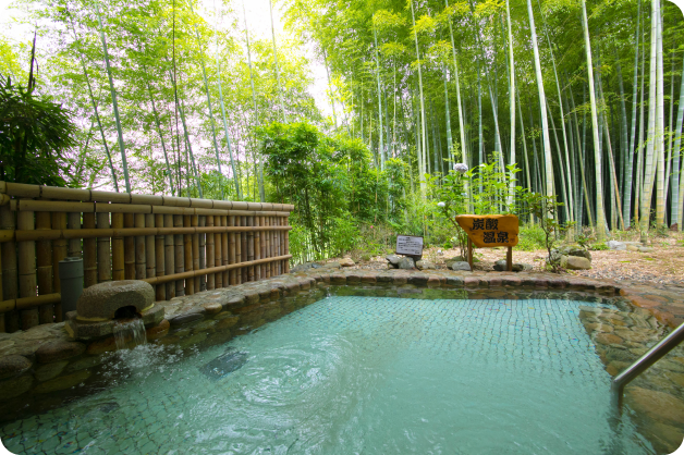 幻想的な竹林の露天風呂とプチプチ炭酸泉