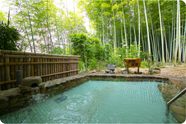 幻想的な竹林の露天風呂とプチプチ炭酸泉